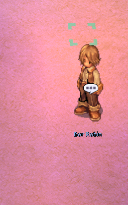 Bor Robin